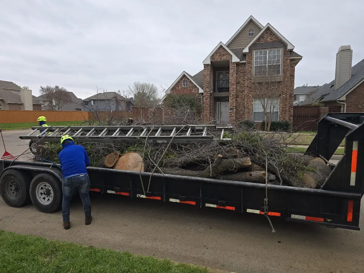 Expert Tree Removal with proper safety equipment in Geneva